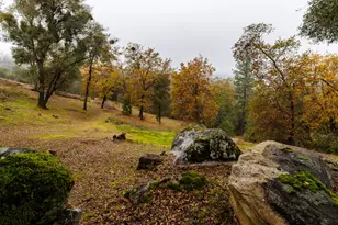 710 Cold Springs Rd, Placerville, CA 95667 - Photo 29