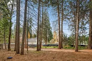 12555 Colfax Hwy, Grass Valley, CA 95945 - Photo 39