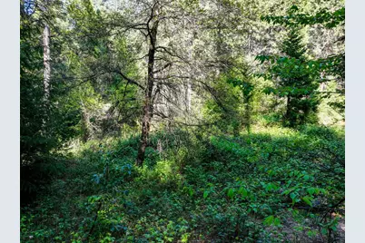 13136 Woodstock Drive, Nevada City, CA 95959 - Photo 21