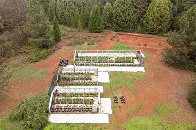 18774 Challenge Cut Off Road, Forbestown, CA 95941 - Photo 99