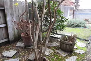 4117 Antioch Way, Stockton, CA 95212 - Photo 35