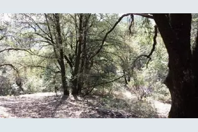 0 Far Far A Way, Colfax, CA 95713 - Photo 11