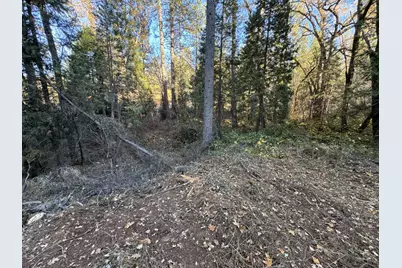 0 Sly Park, Placerville, CA 95667 - Photo 1