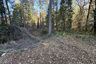 0 Sly Park, Placerville, CA 95667 - Photo 1