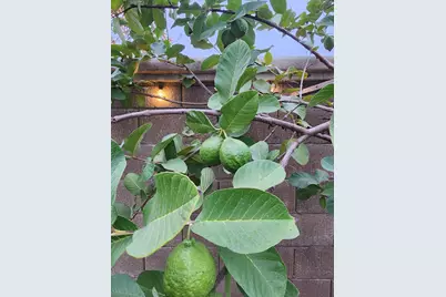 2500 Cottage Pointe Drive, Riverbank, CA 95367 - Photo 37