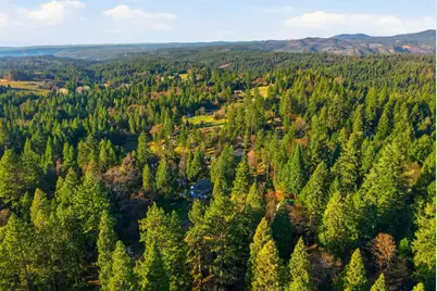 2917 Mace Road, Camino, CA 95709 - Photo 45