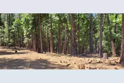 4790 Sierra Springs Drive, Pollock Pines, CA 95726 - Photo 13