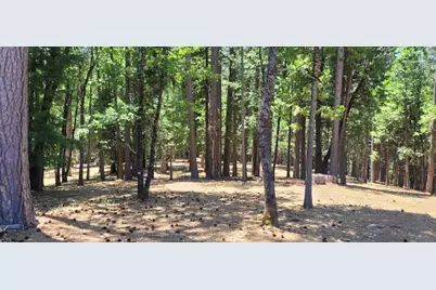 4790 Sierra Springs Drive, Pollock Pines, CA 95726 - Photo 3