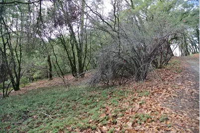 5577 Pine Ridge Road, Foresthill, CA 95631 - Photo 3