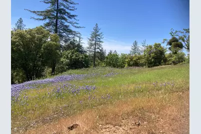 16688 Sonshine Lane, Sutter Creek, CA 95685 - Photo 39