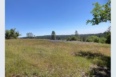 16688 Sonshine Lane, Sutter Creek, CA 95685 - Photo 3