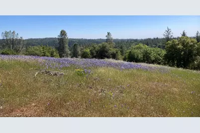 16688 Sonshine Lane, Sutter Creek, CA 95685 - Photo 1