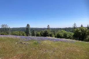 16688 Sonshine Ln, Sutter Creek, CA 95685 - Photo 1