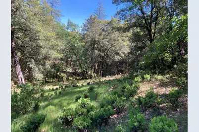 16688 Sonshine Lane, Sutter Creek, CA 95685 - Photo 57