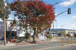 2734 Macarthur, Oakland, CA 94602 - Photo 11