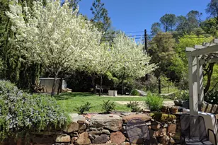 10820 Water St, Amador City, CA 95601 - Photo 57