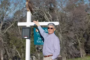 4095 Raphael Dr, El Dorado Hills, CA 95762 - Photo 13