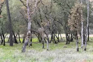 4095 Raphael Dr, El Dorado Hills, CA 95762 - Photo 7