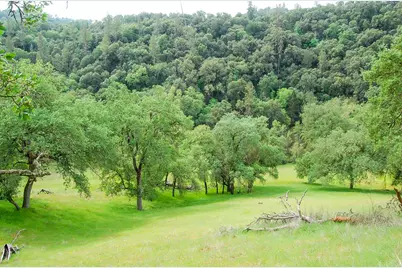 71 Hawver Road, San Andreas, CA 95249 - Photo 81