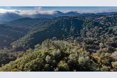 71 Hawver Road, San Andreas, CA 95249 - Photo 11