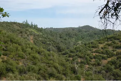 71 Hawver Road, San Andreas, CA 95249 - Photo 59