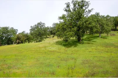 71 Hawver Road, San Andreas, CA 95249 - Photo 91