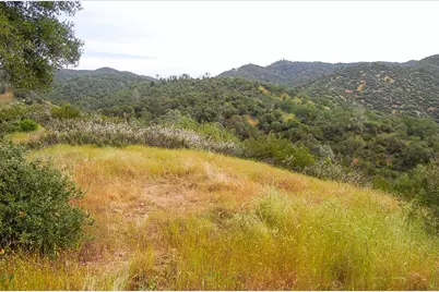 71 Hawver Road, San Andreas, CA 95249 - Photo 75