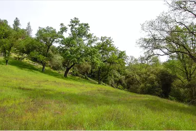 71 Hawver Road, San Andreas, CA 95249 - Photo 93