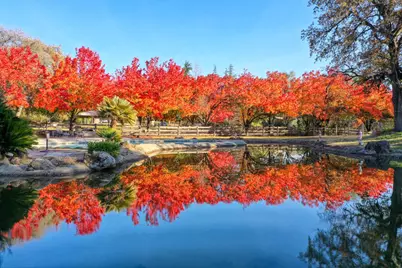 9475 King Road, Loomis, CA 95650 - Photo 83