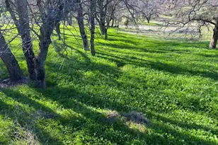 5588 Rippon Rd, Valley Springs, CA 95252 - Photo 1