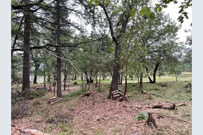 16525 Meadow Way, Grass Valley, CA 95945 - Photo 5