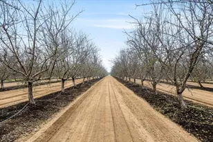 20339 Sexton Rd, Escalon, CA 95320 - Photo 19