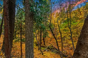 1115 Meadow Dr, Arnold, CA 95332 - Photo 43