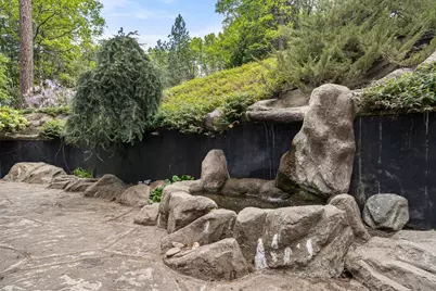 339 Alpine Drive, Colfax, CA 95713 - Photo 47