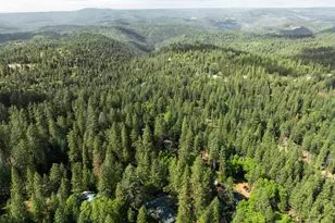 339 Alpine Dr, Colfax, CA 95713 - Photo 55