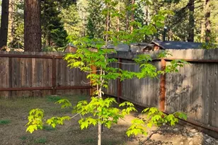 2520 Osborne Ave, South Lake Tahoe, CA 96150 - Photo 19