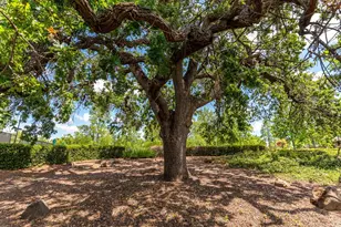 3509 Boulder Ridge Ct, Rocklin, CA 95765 - Photo 33