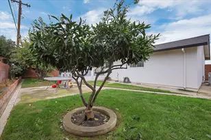 2444 Del Pero St, Marysville, CA 95901 - Photo 29