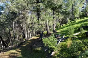 21895 One Fine Pl, Colfax, CA 95713 - Photo 77