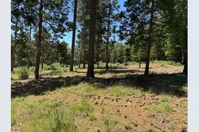 20710 Foresthill Road, Foresthill, CA 95631 - Photo 9