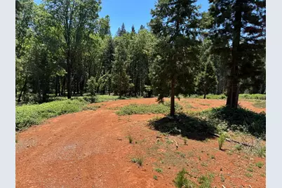 20710 Foresthill Road, Foresthill, CA 95631 - Photo 5