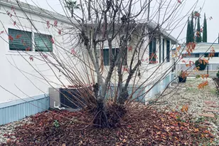 Folsom Blvd, Sacramento, CA 95826 - Photo 9