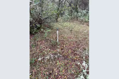 3200 Bird Haven Loop, Cool, CA 95614 - Photo 23