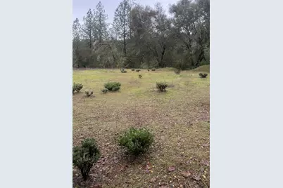 3200 Bird Haven Loop, Cool, CA 95614 - Photo 3