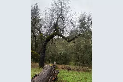 3200 Bird Haven Loop, Cool, CA 95614 - Photo 7