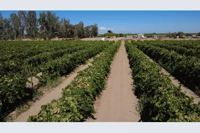 2247 W Magnolia Avenue, Caruthers, CA 93609 - Photo 5