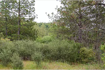 2676 Silver Mountain Road, Rail Road Flat, CA 95248 - Photo 55