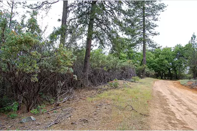 2676 Silver Mountain Road, Rail Road Flat, CA 95248 - Photo 75