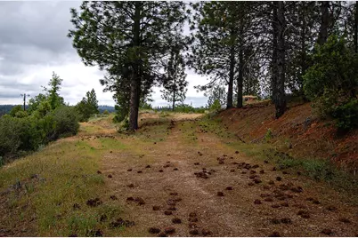 2676 Silver Mountain Road, Rail Road Flat, CA 95248 - Photo 35