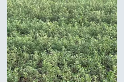 1430 Walnut Ave., Patterson, CA 95363 - Photo 3